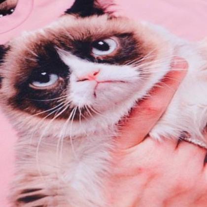 Grumpy Cat Printed Sweatshirt By Fusion